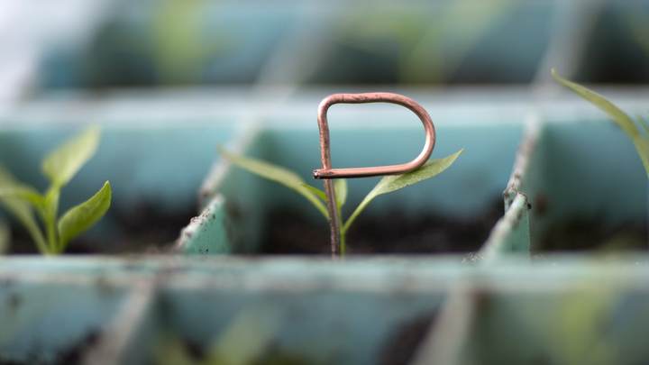 Запорожская область скоро может целиком перейти на рубль