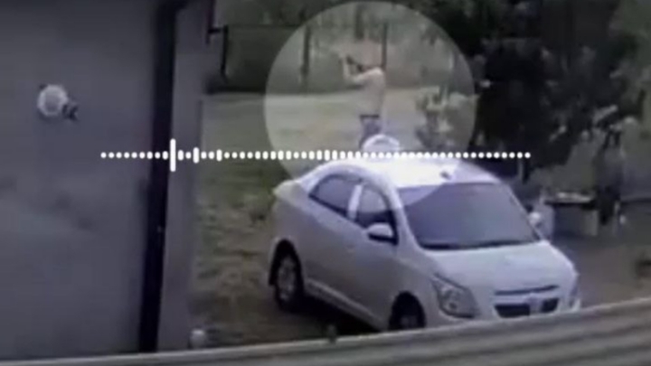 В Кореновске живодёр выстрелил в глаз соседскому коту, ранее он убил той-терьера тех же хозяев