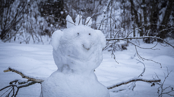 Видео, от которого русских бросило в дрожь: Слепите снеговикиню