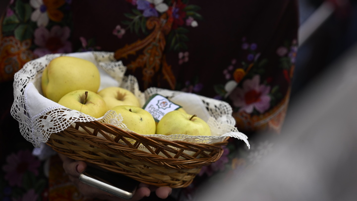 Верный способ избавиться от лишнего веса: Учёные открыли неожиданный лайфхак