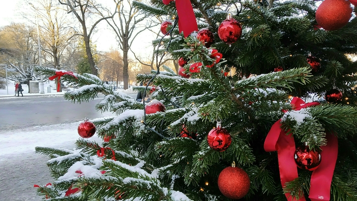 Депутат основал новый город в России и трижды оконфузился перед гражданами