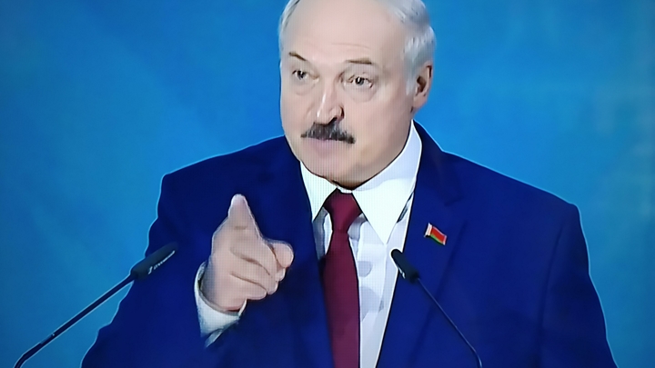 Помощь или предательство?: Журналист поднял вопрос о семье Лукашенко