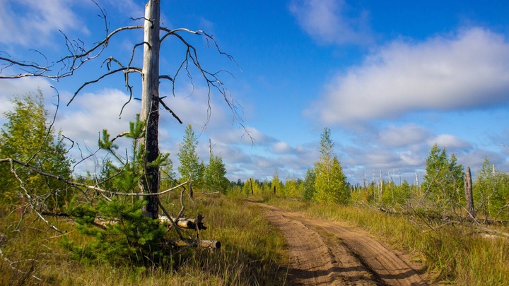 Нижегородские спортсмены стали чемпионами России по трофи-рейдам
