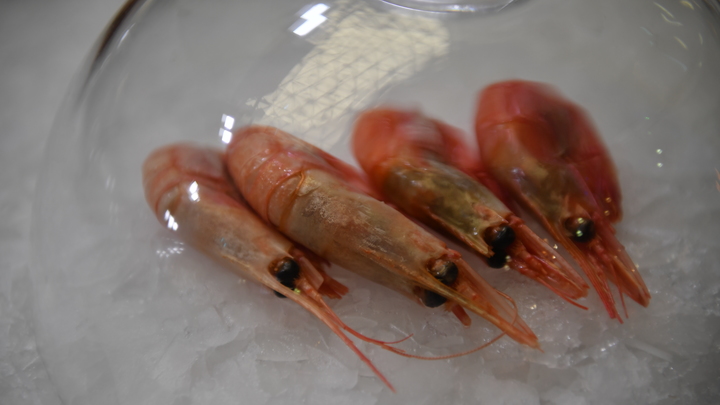 Во Владивостоке ищут отравленные морепродукты: Превышение нормы в 200 раз