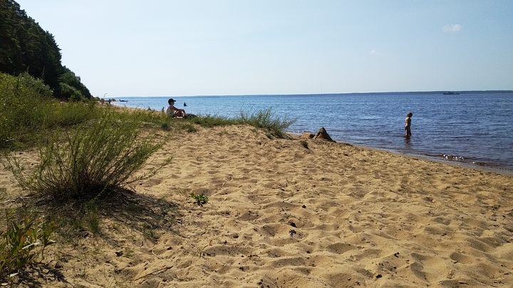 На портале Добродел в Подмосковье началось голосование за благоустройство пляжей