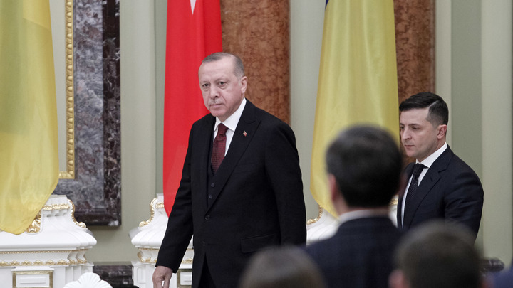 В чём Зеленский и Эрдоган одинаковы: Политолог спрогнозировал главный итог встречи во Львове