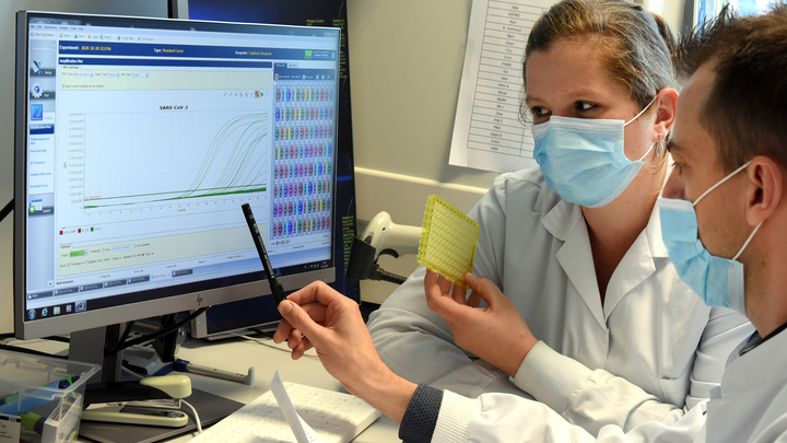 Достаточно находиться рядом: Учёные раскрыли механизм заразности стресса