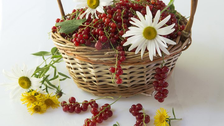 Много фруктов нельзя, ягод - можно: Диетолог указала на подводные камни летней диеты