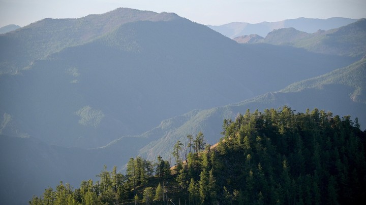 На Кубани для защиты от застройки за природными территориями закрепят новый статус