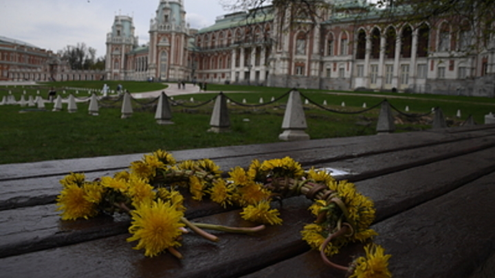 Музыка, поэзия и русская богема: В Москве стартует фестиваль Дачное Царицыно