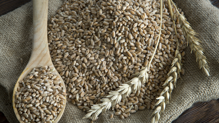 Россия выходит из зерновой сделки? Москва заблокировала транспортный коридор - Киев