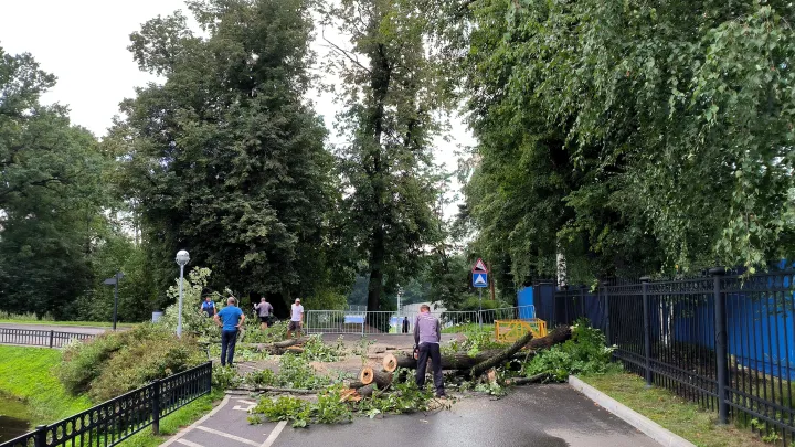 Ураган прошёлся по Ярославлю: повалены деревья, повреждены автомобили, упавшее дерево сломало ребёнку ногу