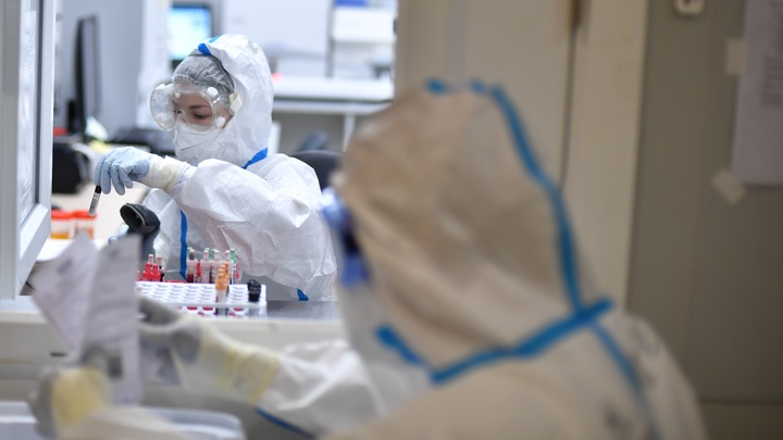 В ВОЗ заявили о риске распространения смертельного вируса Марбург, обнаруженного в Африке