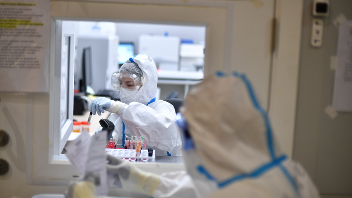 На Кубани не зафиксировано случаев заражения омикрон-штаммом коронавируса — Роспотребнадзор