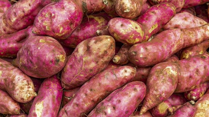 Ориентируйтесь на размер и запах: В Роскачестве дали советы по выбору безопасной картошки