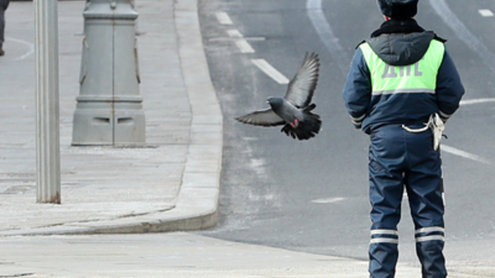 На Кубани после скандального видео с участием начальника ОГИБДД назначили служебную проверку