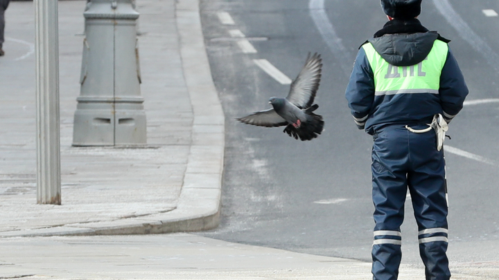 На Урале пьяный водитель сбил сотрудника ДПС, который пытался его остановить