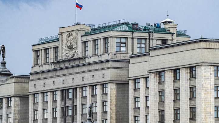 Семь новосибирских депутатов разработали в Госдуме сотни законопроектов