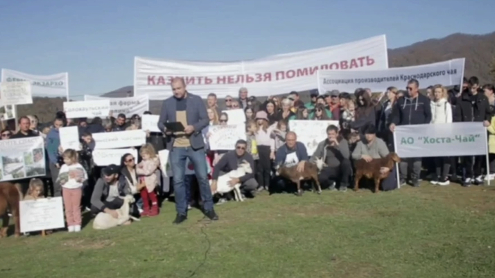 Фермеры из Сочи обратились к Владимиру Путину, чтобы спасти свои сельхозпредприятия