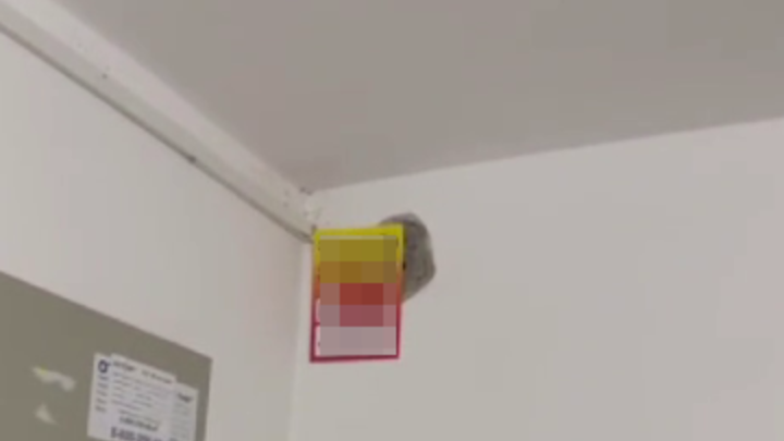 Жители Краснодара подали жалобу на рекламщиков, обклеивших весь подъезд листовками