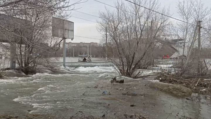 Фермы в Кургане под риском затопления: Животных могут не спасти