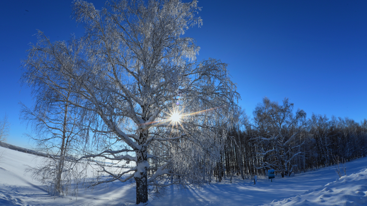 Что нельзя делать в Кириллов день 27 февраля