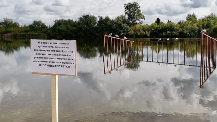 На пляжах Кургана появились таблички с предупреждением