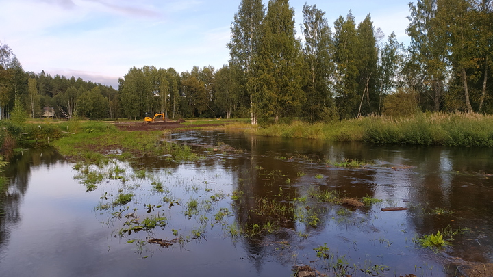 В Челябинской области из-за бобров высохла целая река