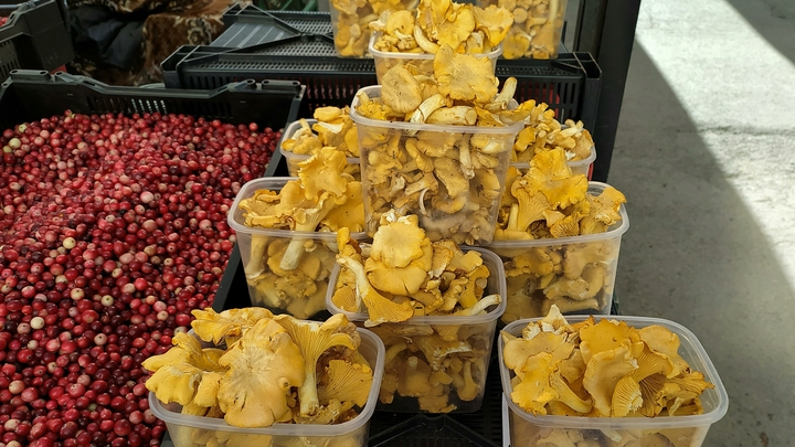 Эти продукты нельзя разогревать в микроволновке