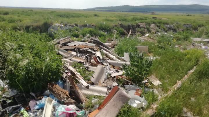 В 2022 году в Челябинской области станет на 500 стихийных свалок меньше