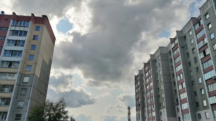 В полиции рассказали, как брат с сестрой выпали из окна в Челябинской области