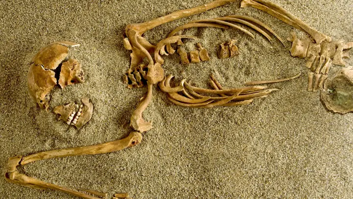 В Казахстане откопали сенсацию: найдена могила возрастом 7 тысяч лет