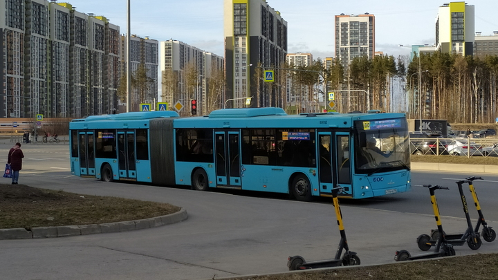 Новые ПДД в России: что изменится на дорогах, и когда вступят в силу поправки