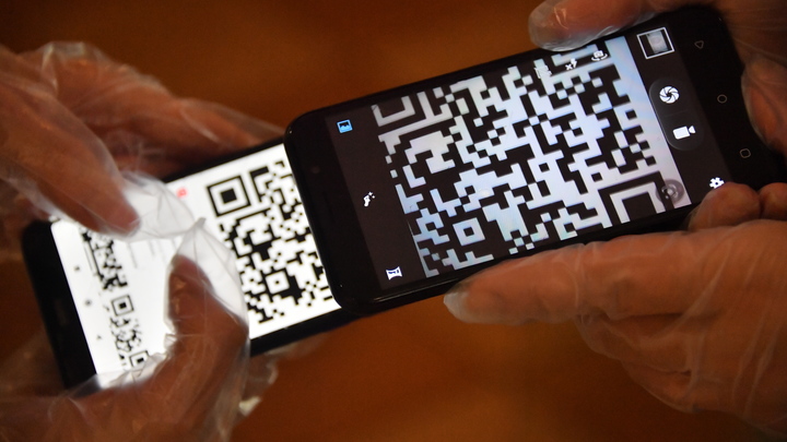 Минфин засекретил информацию о QR-кодах: Делягин раскрыл карты