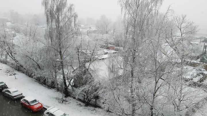 МЧС предупреждает: во Владимирской и Ивановской областях 19 ноября будет метель