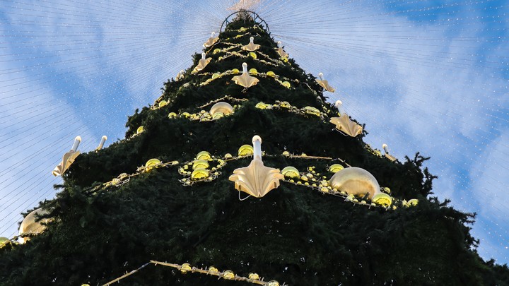 Динозавры, Музей Победы и велосипед: Кириенко исполнил мечты ребят с Ёлки желаний