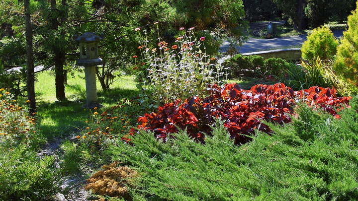 Росимущество требует снести в нацпарке Сочи детскую площадку и зооуголок