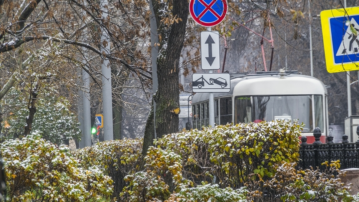 Синоптик назвал точную дату первого снегопада в Центральной России: Это ещё не зима