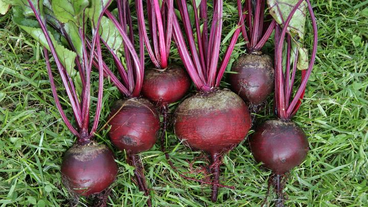Врачи назвали ТОП-6 незаменимых для здоровья ЖКТ продуктов