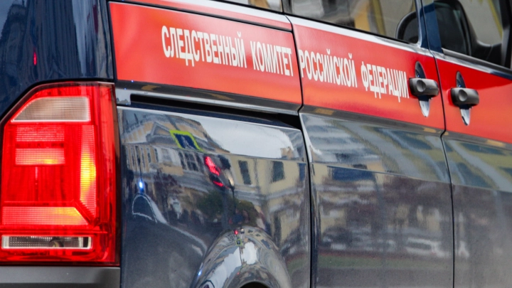 Генконсул Ветрик: ведётся работа по возвращению в Россию оставленной в аэропорту Анталии девочки