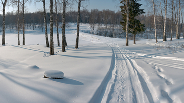 Подмосковье приняло два миллиона зимних туристов