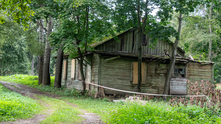 Обитавшая под лестницей находка пригрозила новому владельцу дома: Надеюсь, ты хорошо спишь