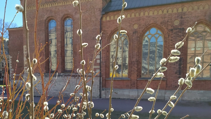 Тепло и высокая пожароопасность вернутся в Новосибирскую область с 25 апреля