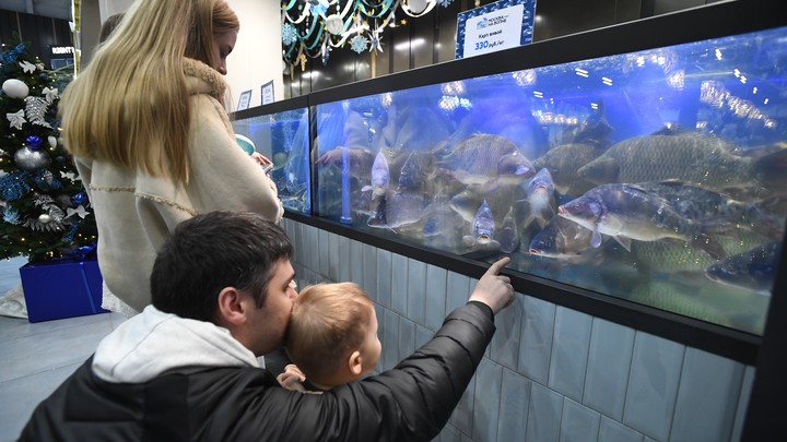 Донос на родителей из-за прививки. Затея Роспотребнадзора вызвала оторопь