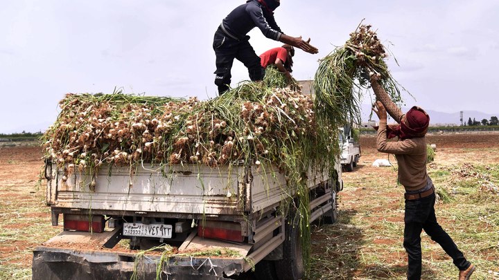 Международная коалиция попыталась уехать из Сирии. На помощь пришли русские бойцы