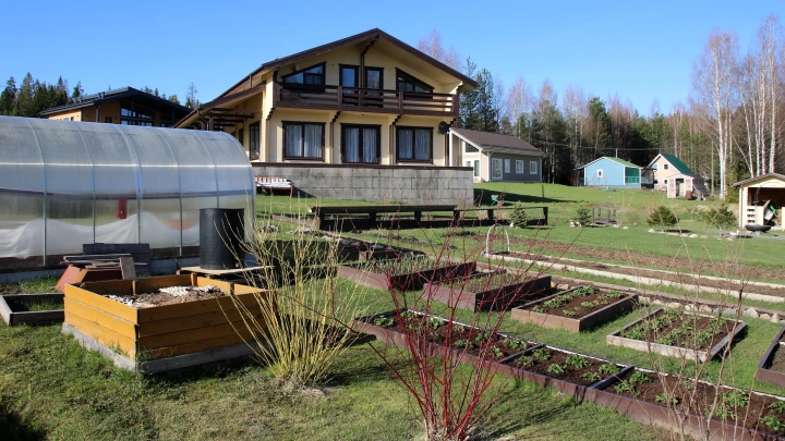 За неправильные растения на дачах можно сеть на три года: В Роскачестве предупредили граждан России