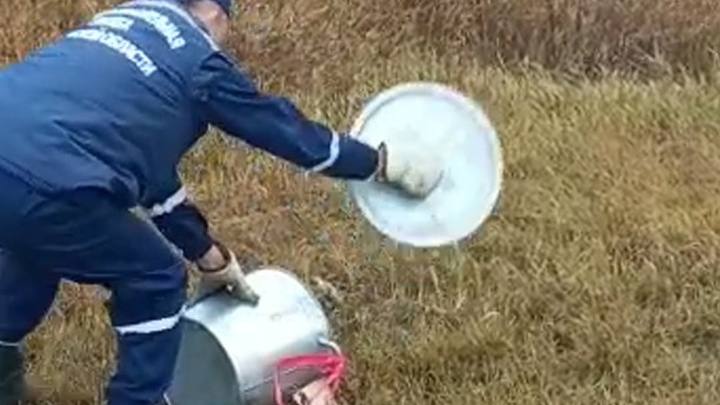 Дикое животное устроило погром в детском саду Магнитогорска