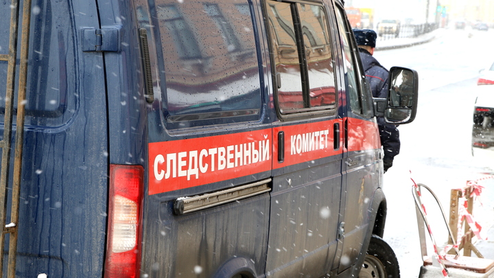 СК ищет подозреваемых: в Петербурге начали допрос сотрудников сгоревшего склада Wildberries
