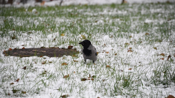 Какой сегодня праздник – на календаре 3 ноября