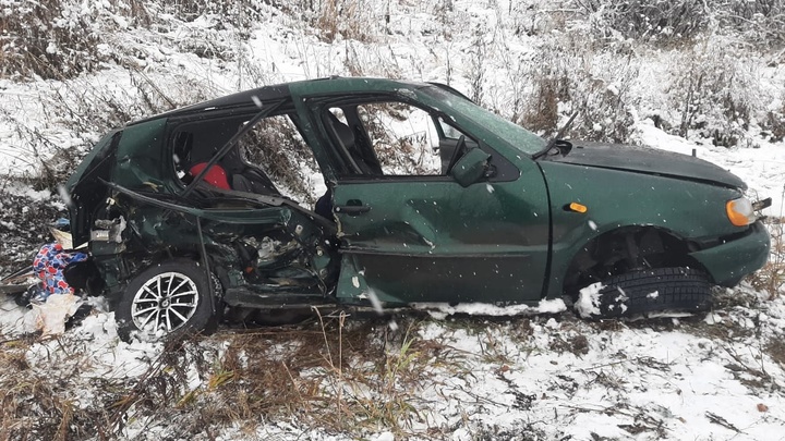 В Курганской области 2 детей погибли в автокатастрофе во время снегопада